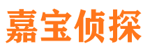 七台河嘉宝私家侦探公司